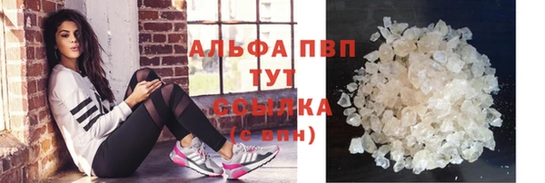 стаф Абинск