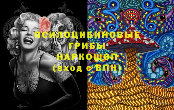 стаф Абинск
