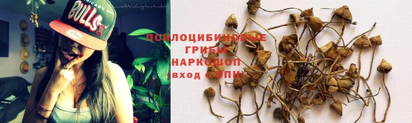 крисы Алзамай