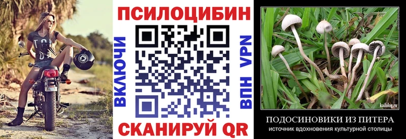 закладки Яблоновский Псилоцибиновые грибы MAGIC MUSHROOMS